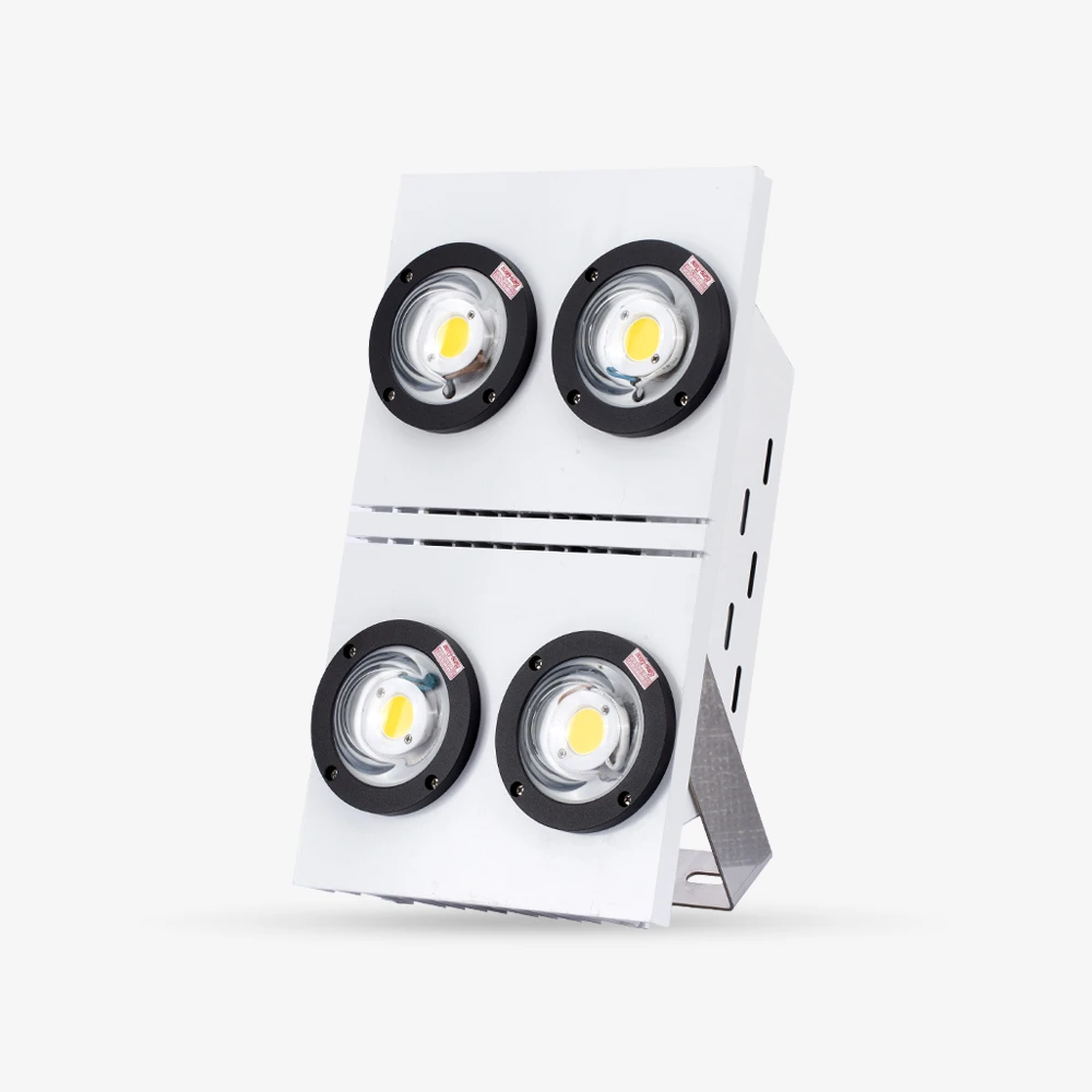 Đèn LED Chiếu pha CP09 350W 5000K SS