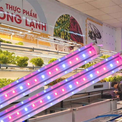 Đèn LED TRR 120/25W-100% BLUE