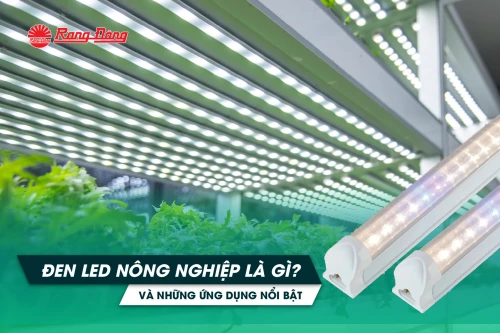 Đèn LED nông nghiệp là gì? Và những ứng dụng nổi bật trong sản xuất