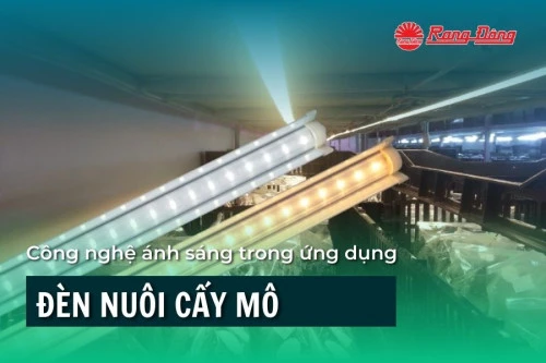 Công nghệ ánh sáng trong ứng dụng đèn nuôi cấy mô