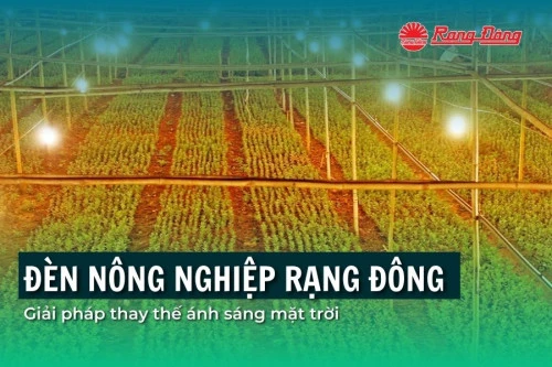 Đèn nông nghiệp, giải pháp thay thế ánh sáng mặt trời