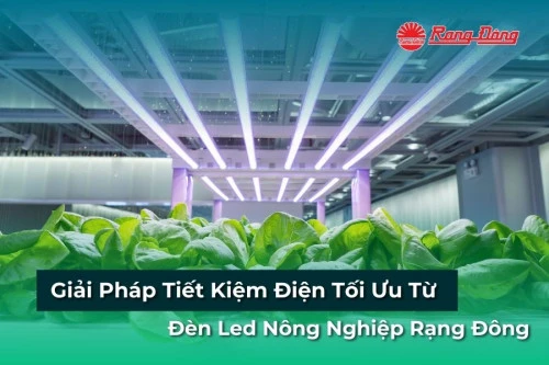 Giải Pháp Tiết Kiệm Điện Tối Ưu Từ Đèn Led Nông Nghiệp Rạng Đông