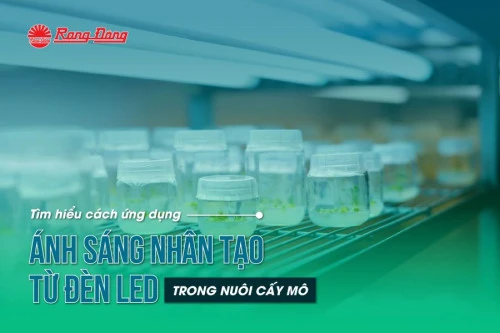 Tìm hiểu cách ứng dụng ánh sáng nhân tạo từ đèn LED trong nuôi cấy mô