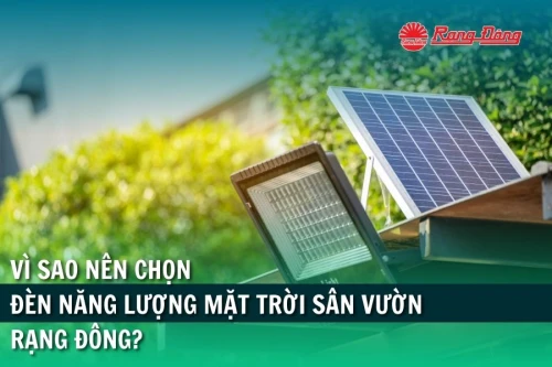 Vì sao nên chọn đèn năng lượng mặt trời sân vườn Rạng Đông?