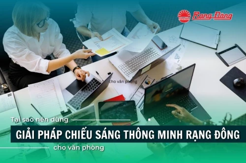 Tại sao nên dùng giải pháp chiếu sáng thông minh Rạng Đông cho văn phòng