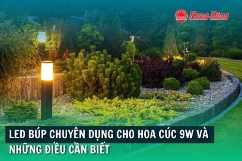 LED Búp chuyên dụng cho hoa cúc 9W và những điều cần biết