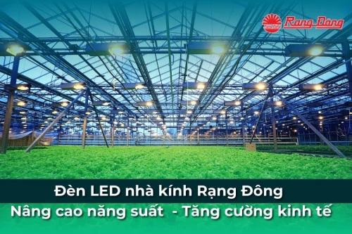 Đèn LED nhà kính Rạng Đông - Nâng cao năng suất  - Tăng cường kinh tế