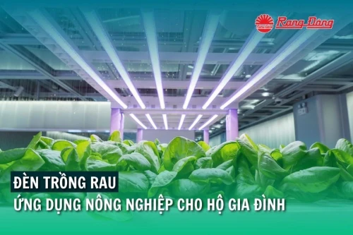 Đèn Trồng Rau - Ứng Dụng Nông Nghiệp Cho Hộ Gia Đình