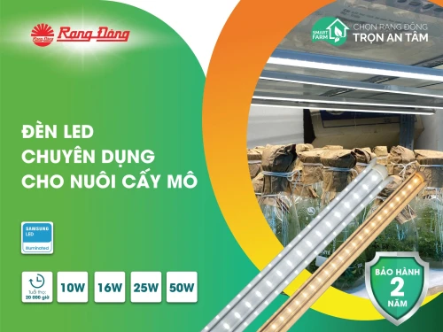 Đèn nuôi cấy mô