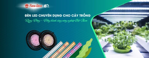 led trồng cây rạng đông