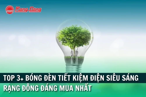 Rạng Đông Store