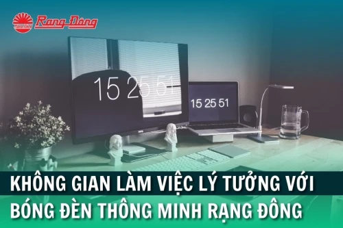 Không Gian Làm Việc Lý Tưởng Với Bóng Đèn Thông Minh Rạng Đông
