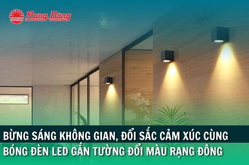 Bừng Sáng Không Gian, Đổi Sắc Cảm Xúc Cùng Bóng Đèn Led Gắn Tường Đổi Màu Rạng Đông