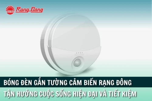 Tận Hưởng Tiện Ích Thông Minh Và Tiết Kiệm Với Bóng Đèn Gắn Tường Cảm Biến Rạng Đông