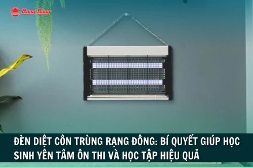 Đèn Diệt Côn Trùng Rạng Đông: Bí Quyết Giúp Học Sinh Yên Tâm Ôn Thi và Học Tập Hiệu Quả