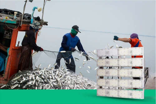 Đèn tàu cá Rạng Đông: Giải pháp chiếu sáng hiệu quả cho ngư dân