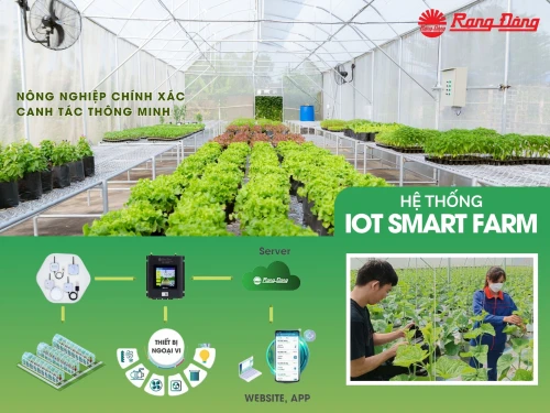 Smart Farm – Hành trình chuyển đổi số nông nghiệp bắt đầu từ ánh sáng thông minh