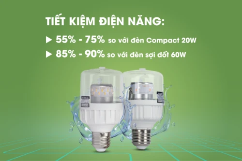 Giải pháp chiếu sáng cho cây thanh long – Tối ưu năng suất nhờ công nghệ đèn LED Rạng Đông