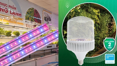 Đèn LED chuyên dụng cho cây xanh trong nhà – Giải pháp duy trì sức sống và thẩm mỹ cho không gian sống hiện đại