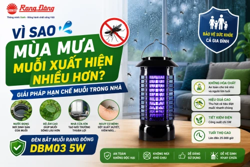 Vì sao mùa mưa muỗi xuất hiện nhiều hơn? Gợi ý giải pháp hạn chế muỗi trong nhà hiệu quả