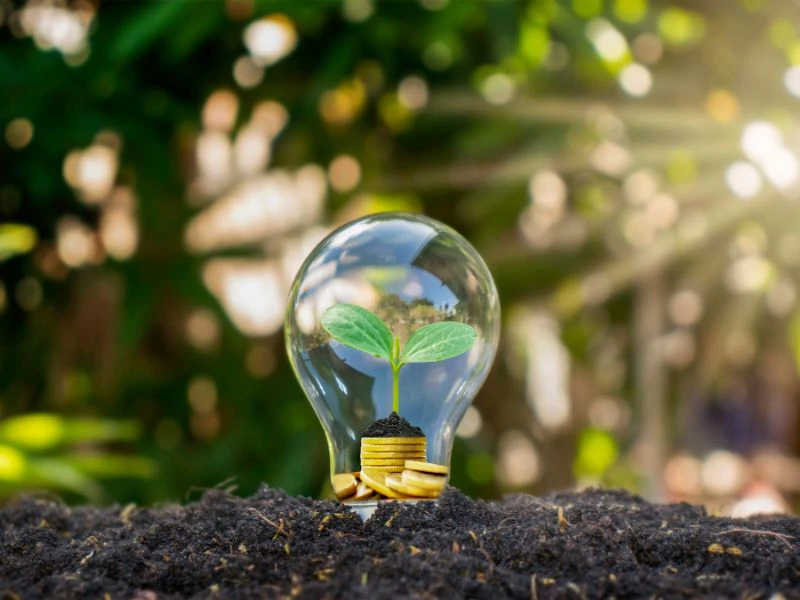 Đèn LED Rạng Đông giúp tiết kiệm điện năng, giảm chi phí mỗi tháng và bảo vệ môi trường.