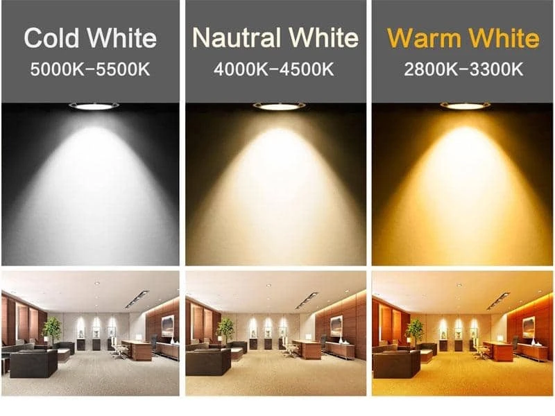 Đèn LED Rạng Đông có khả năng thay đổi nhiệt độ màu tùy theo sở thích cá nhân