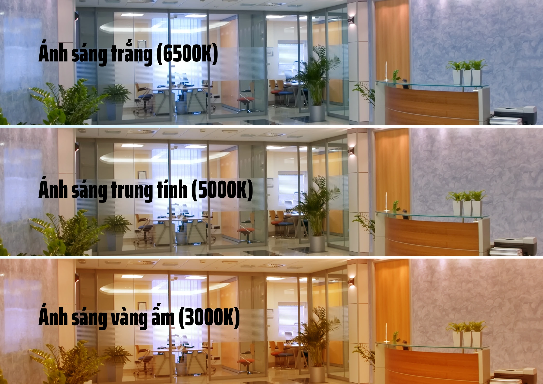 Đèn LED âm trần Rạng Đông có thể thay đổi màu sắc