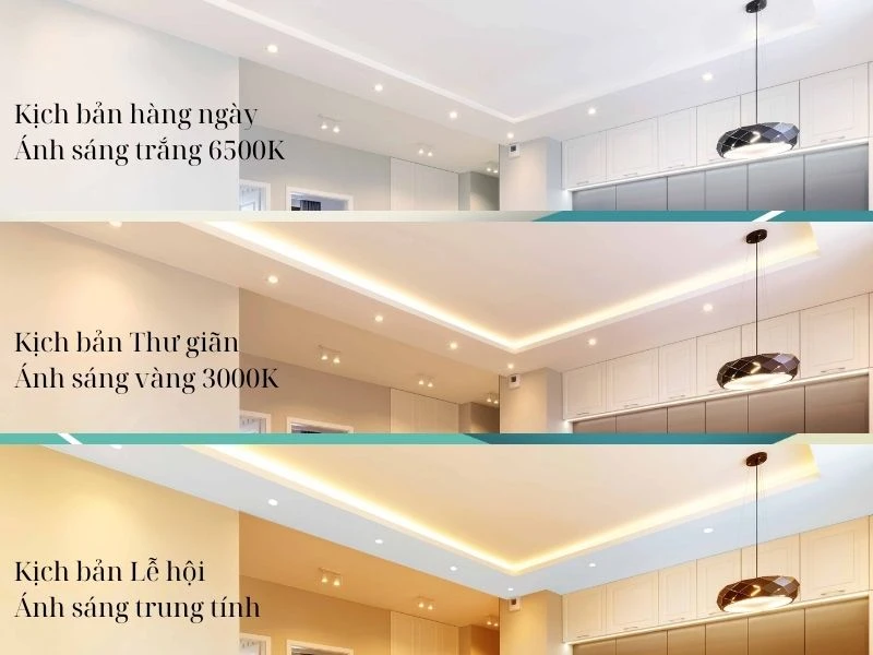 Đèn LED Downlight Âm Trần Đổi Màu Rạng Đông cung cấp giải pháp chiếu sáng tiện ích.