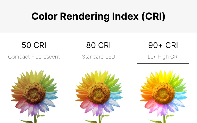 Chỉ số CRI cao cho khả năng tái tạo màu sắc một cách chân thật
