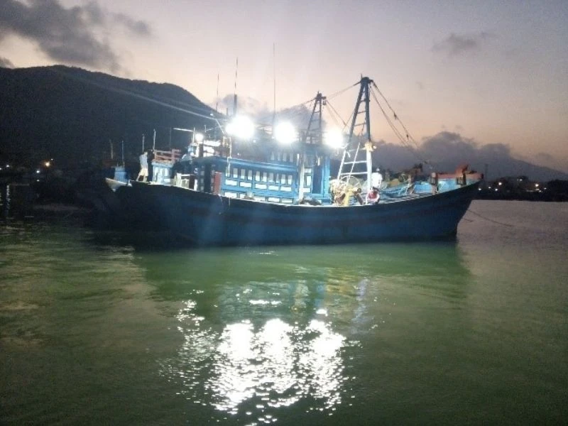 Phổ quang chuyên dụng của đèn tàu cá Rạng Đông sẽ giúp thu hút cá lại khu vực đánh bắt của tàu