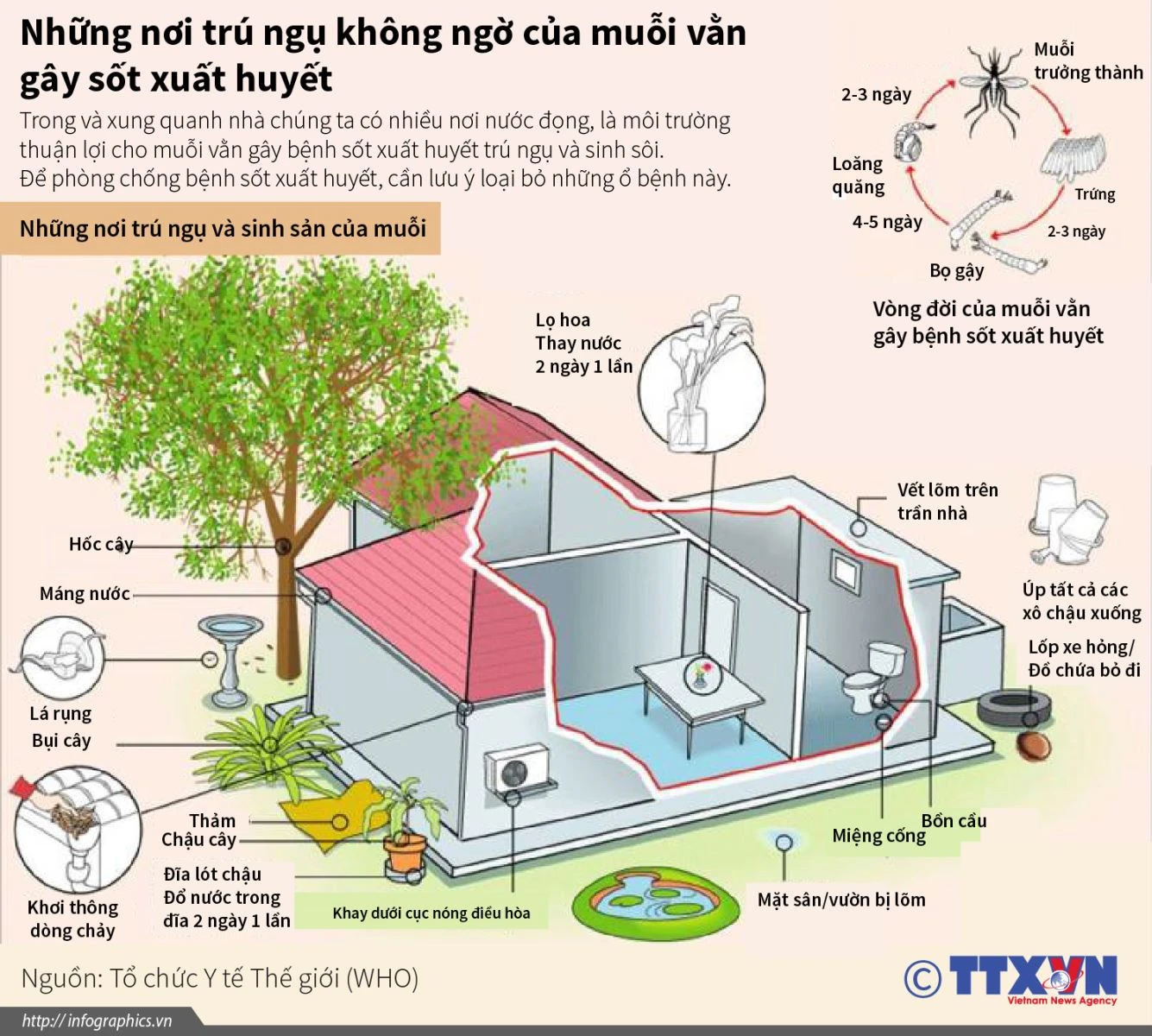 Vì sao mùa mưa muỗi xuất hiện nhiều hơn